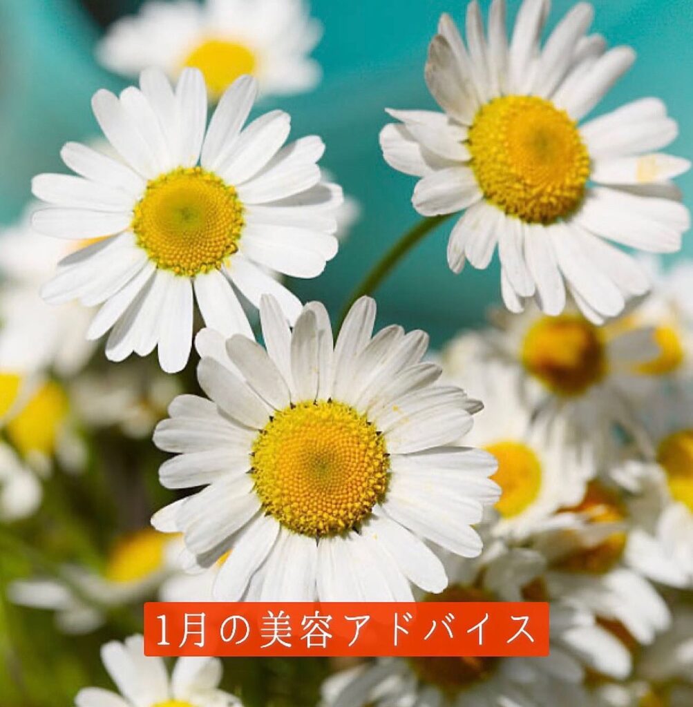 ..1月は乾燥&低気温のWパンチ！️乾燥・小ジワ・シワに注意が必要です🥹乾燥の原因は、肌の屋根瓦「角層細胞」の乱れからバリア機能が低下することと、「自分の肌の天然クリーム」と言われる肌表面の皮脂不足です。