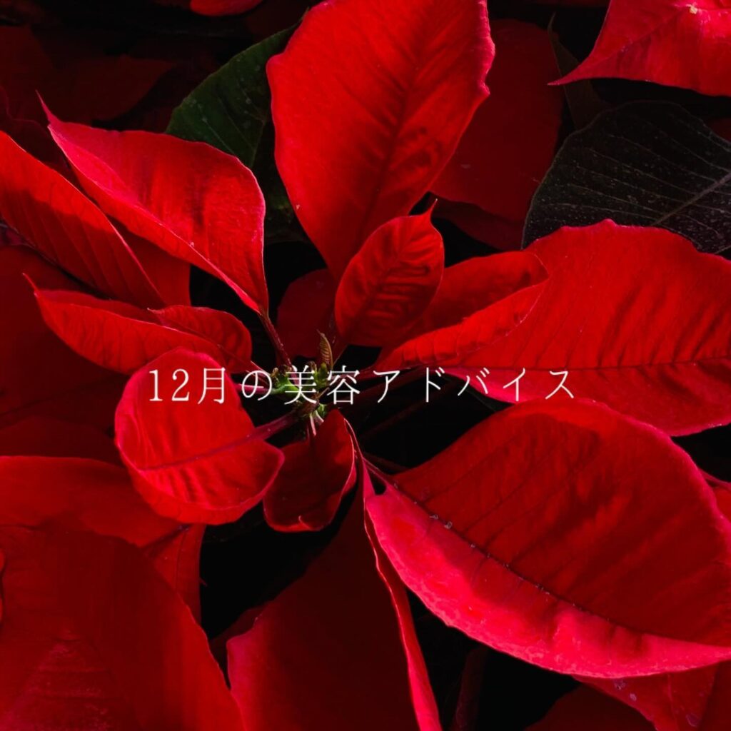 ..12月は肌の「うるおいを保つ力」も「バリア機能」も年間で最も低下し、冬のエイジングが加速します.乾燥・敏感対策は ️ クリームで保湿膜を形成しましょう!肌冷えによるくすみ・たるみ対策は ️ ・マッサージで血行促進! ・エッセンスで美容成分を投入! ・クリームで冷えから肌を守る!.多忙ながらも気持ちが華やぐ12月、健やかな肌で乗り切りましょう🥰.